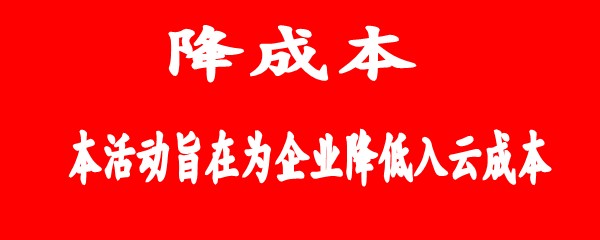 2025年新春云促销活动